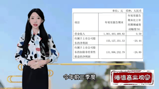 币安遭遇大幅下滑超28.29%，投资者恐慌性抛售的简单介绍
