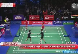 羽毛球巡回赛掀起高潮，蓬莱雷豹队强势反弹西城雄狮队，高压逼抢奏功——新人首发惊艳